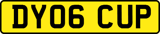 DY06CUP