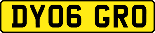 DY06GRO