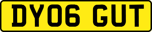 DY06GUT