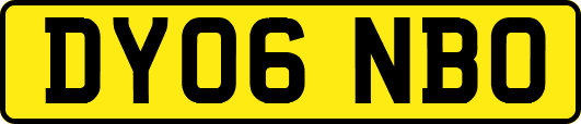 DY06NBO