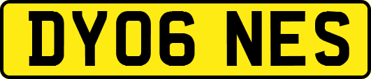 DY06NES