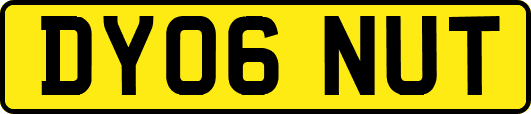 DY06NUT