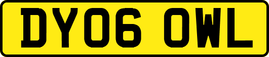 DY06OWL
