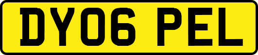 DY06PEL