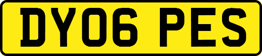 DY06PES