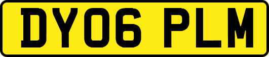 DY06PLM