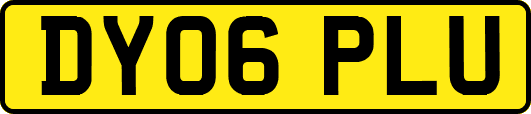 DY06PLU