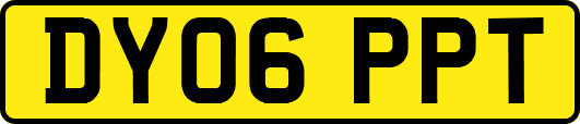 DY06PPT