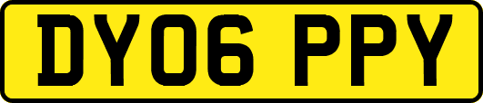 DY06PPY