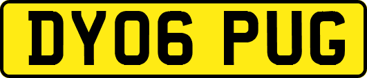 DY06PUG