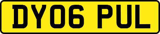 DY06PUL