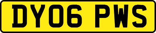 DY06PWS