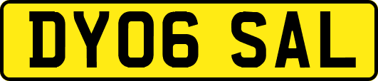 DY06SAL