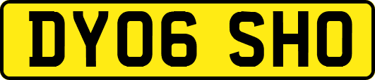 DY06SHO
