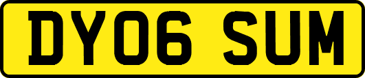 DY06SUM