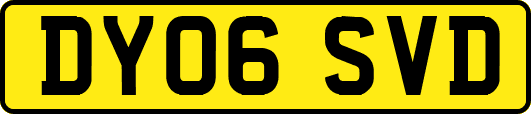 DY06SVD