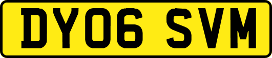 DY06SVM