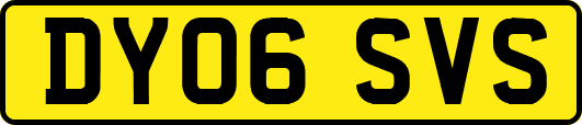 DY06SVS