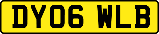 DY06WLB