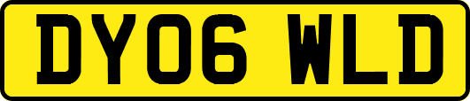 DY06WLD