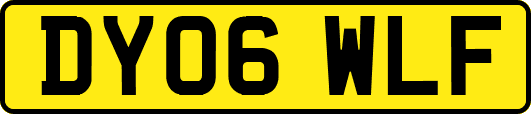 DY06WLF