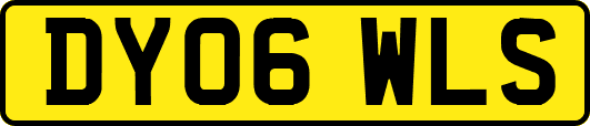 DY06WLS