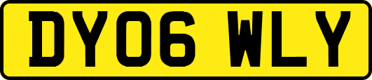 DY06WLY