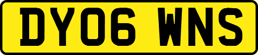 DY06WNS