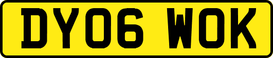 DY06WOK