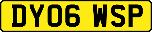 DY06WSP