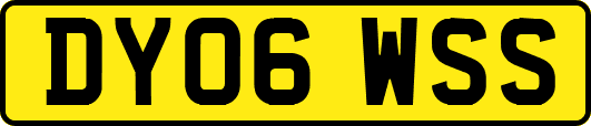 DY06WSS