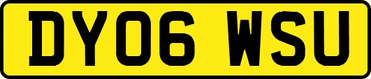 DY06WSU