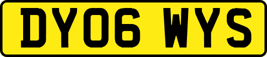 DY06WYS