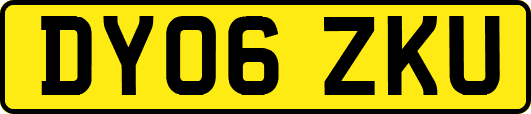 DY06ZKU