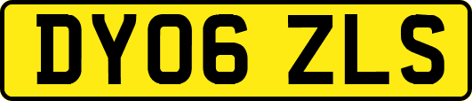 DY06ZLS