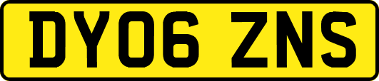 DY06ZNS