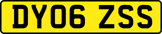 DY06ZSS
