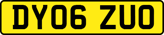 DY06ZUO