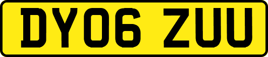 DY06ZUU
