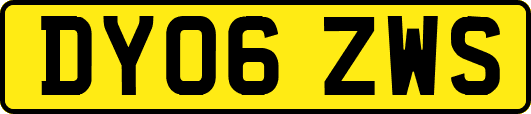 DY06ZWS