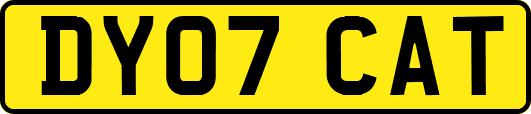 DY07CAT