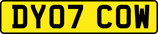 DY07COW
