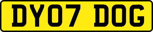 DY07DOG
