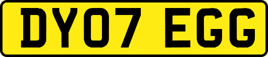DY07EGG