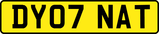 DY07NAT