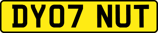 DY07NUT