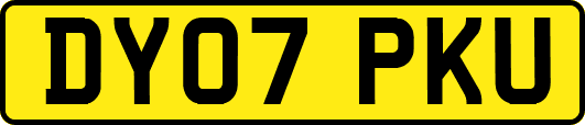 DY07PKU