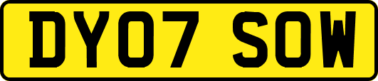 DY07SOW