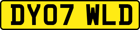 DY07WLD