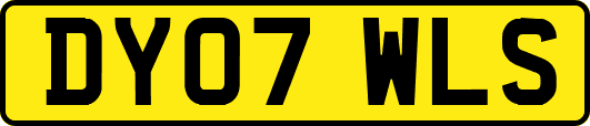 DY07WLS